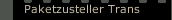 Paketzusteller Trans